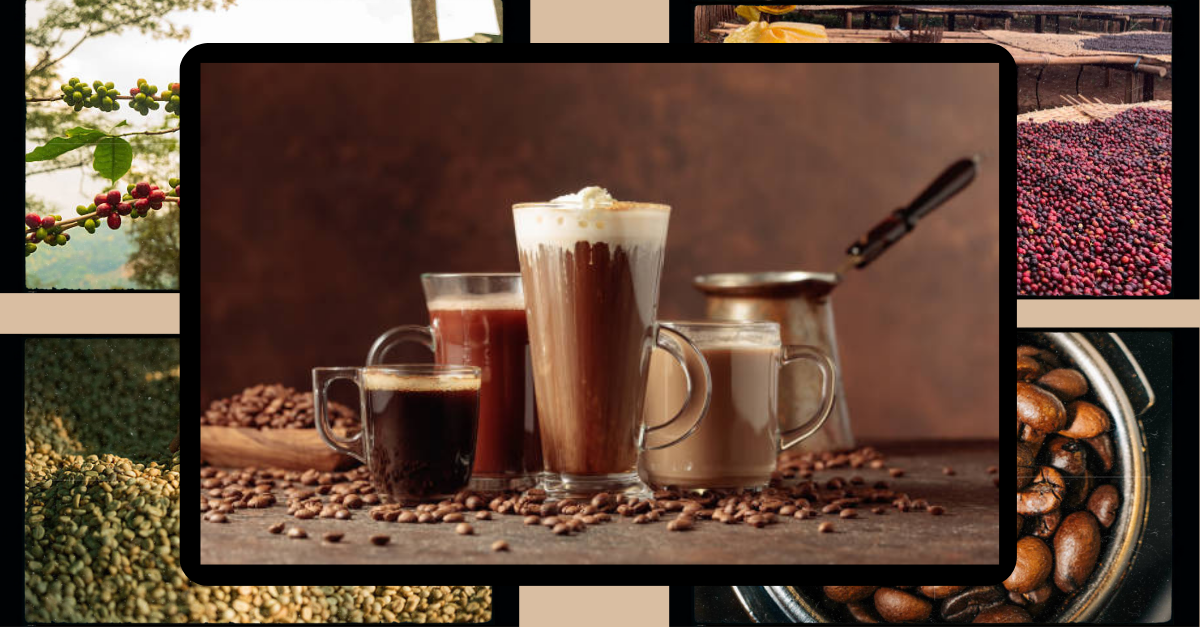 organic coffee eco friendly farming and ethical sourcing (1)
