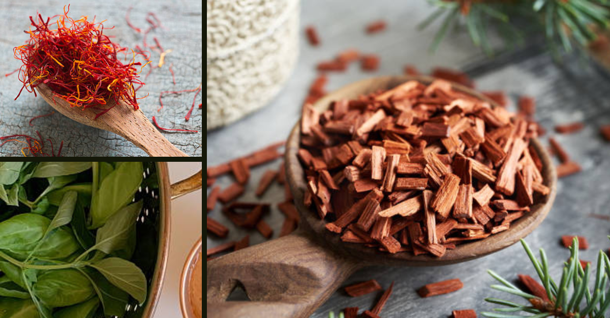 indian aromatics the role of sandalwood, tulsi, and saffron in healing (1)